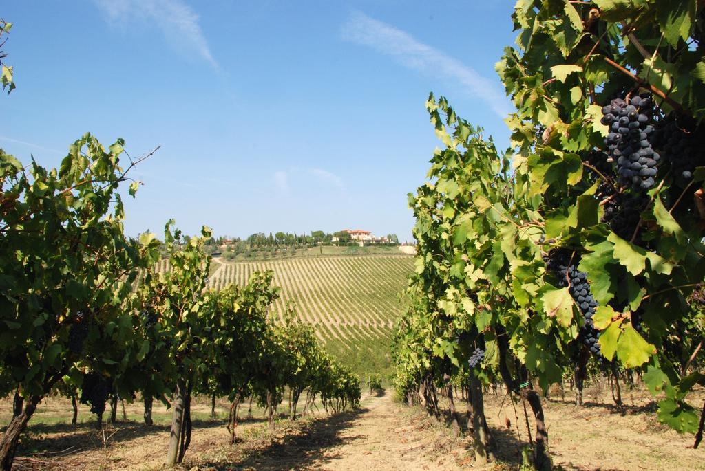 Agriturismo Isola Verde Cerreto Guidi Exterior foto